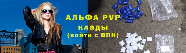 крисы Белокуриха
